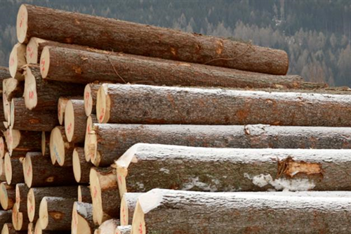 Manifestazione di interesse per l'individuazione di operatori economici